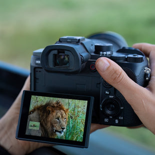 Новото пето поколение на RX10 от Sony е тук. Универсален фотоапарат със супер zoom за ежедневие, дива природа и спортна фотография.