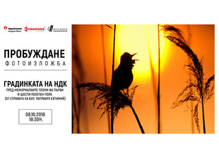 Фотоконкурс