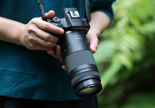 Вижте живота отблизо с новия варио телеобектив Canon RF 75-300mm F4-5.6