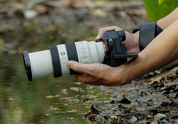 Sony FE 70-200MM F4 Macro G OSS II Lens™ разкрива нови фотографски възможности