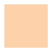 ROSCO E-Colour+ #205 - Half C.T.Orange per cm
