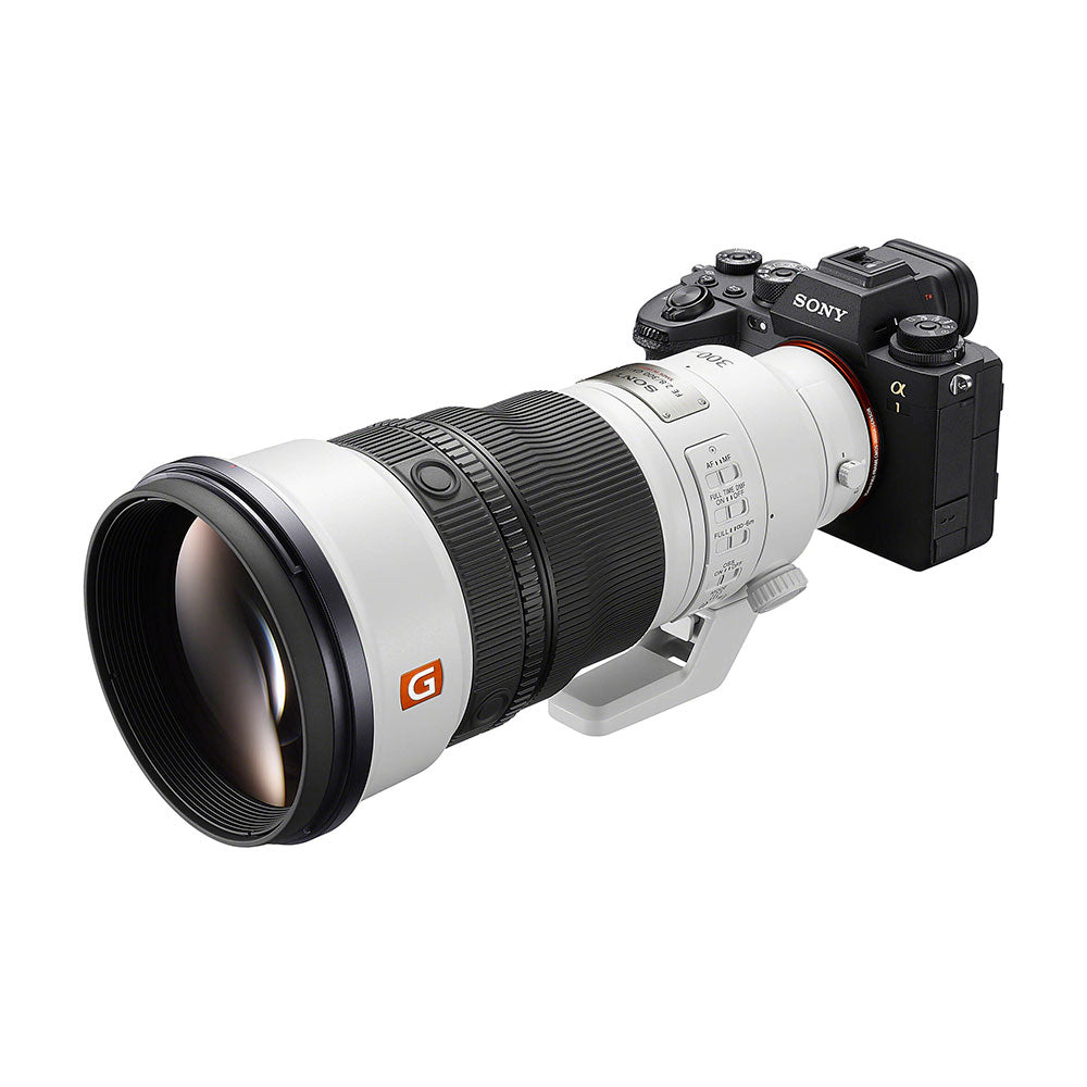Sony FE FE 300mm F2.8 GM OSS