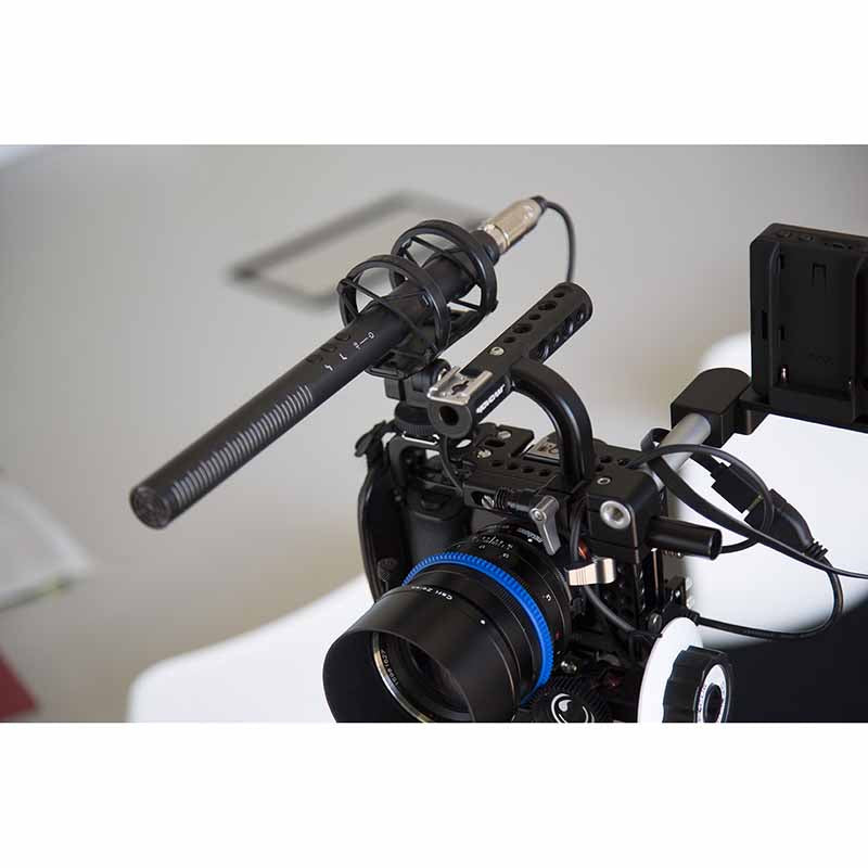 Микрофон RODE NTG4+