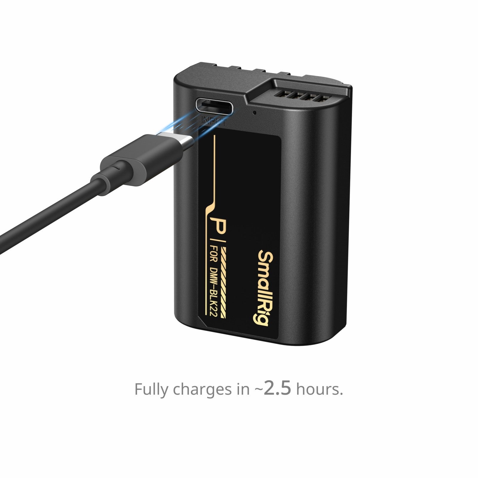SmallRig Батерия с USB-C Зареждане за Panasonic LUMIX DMW-BLK22 6098