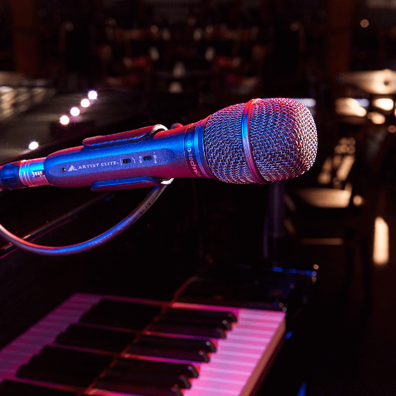 Audio-Technica Artist Elite АЕ3300 Condenser Cardioid Handheld Microphone