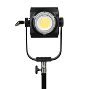 Nanlite Forza 500 II Daylight LED Light