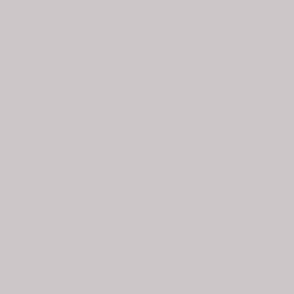 Colorama paper background 2.72 x 11 m - Quartz