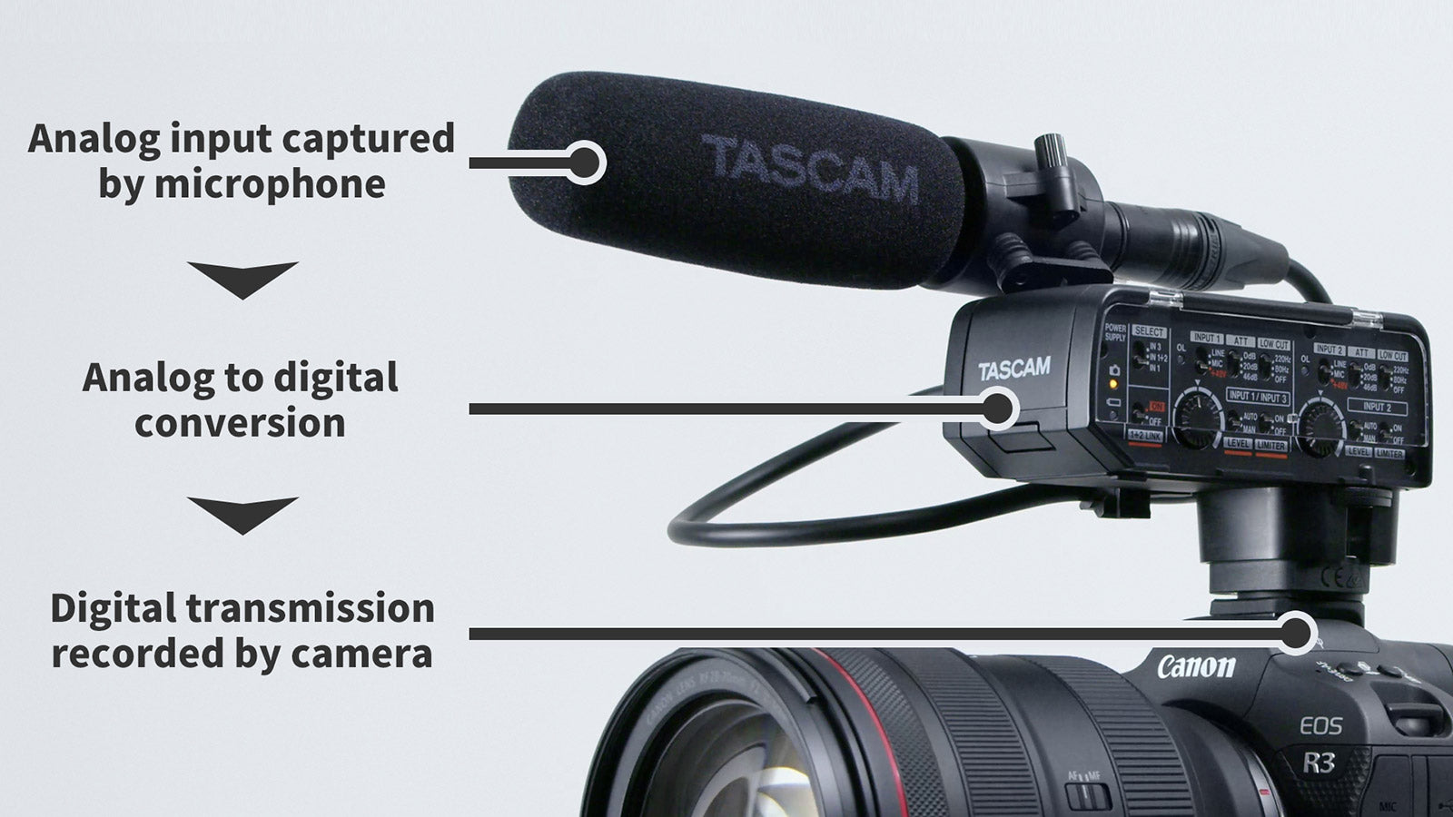 Аудио XLR адаптер Tascam CA-XLR2d-C с краче за фотоапарати и камери Canon