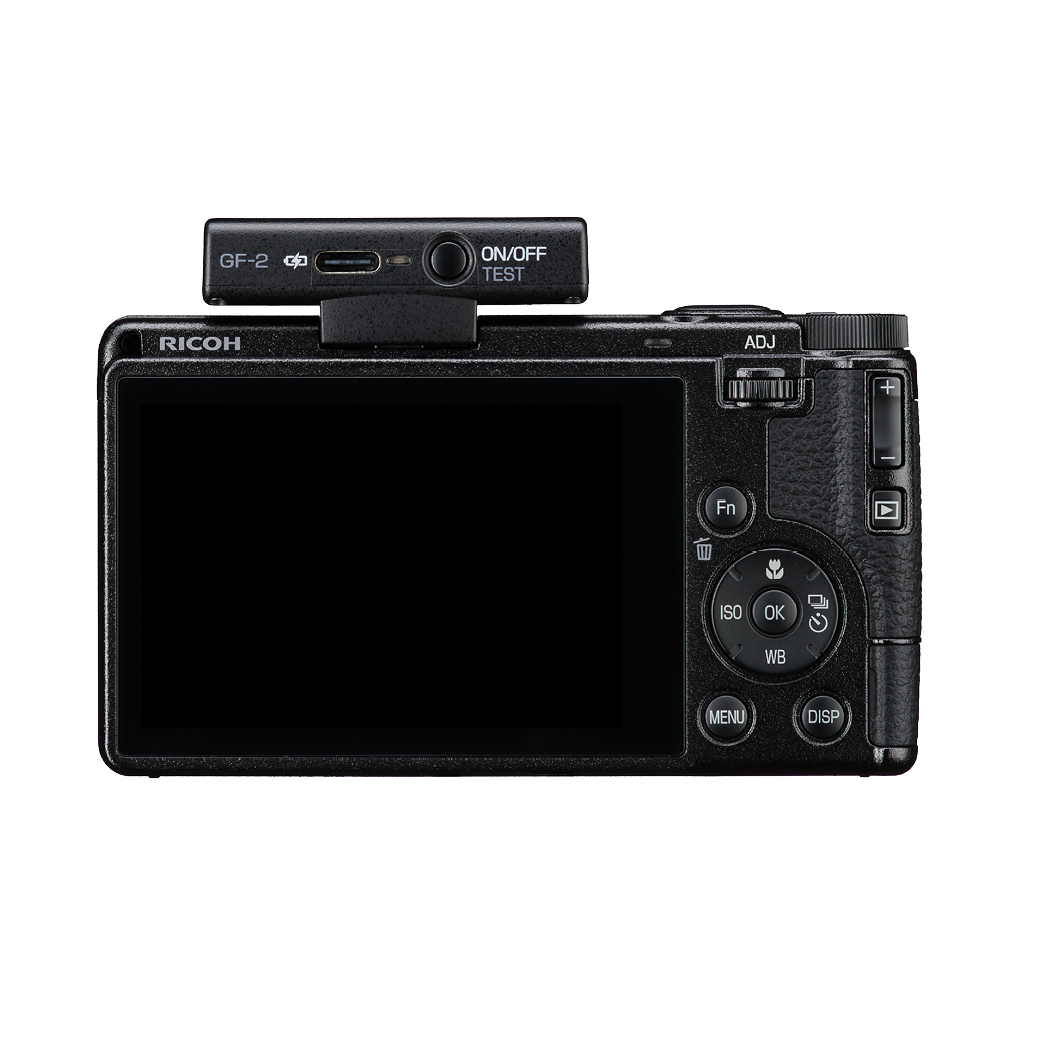 Ricoh Flash GF-2 WW