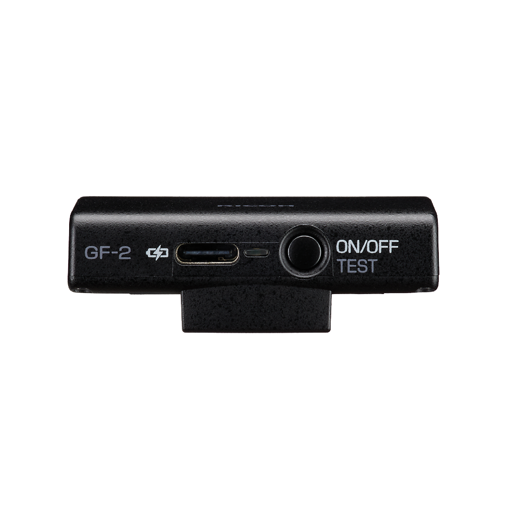 Ricoh Flash GF-2 WW