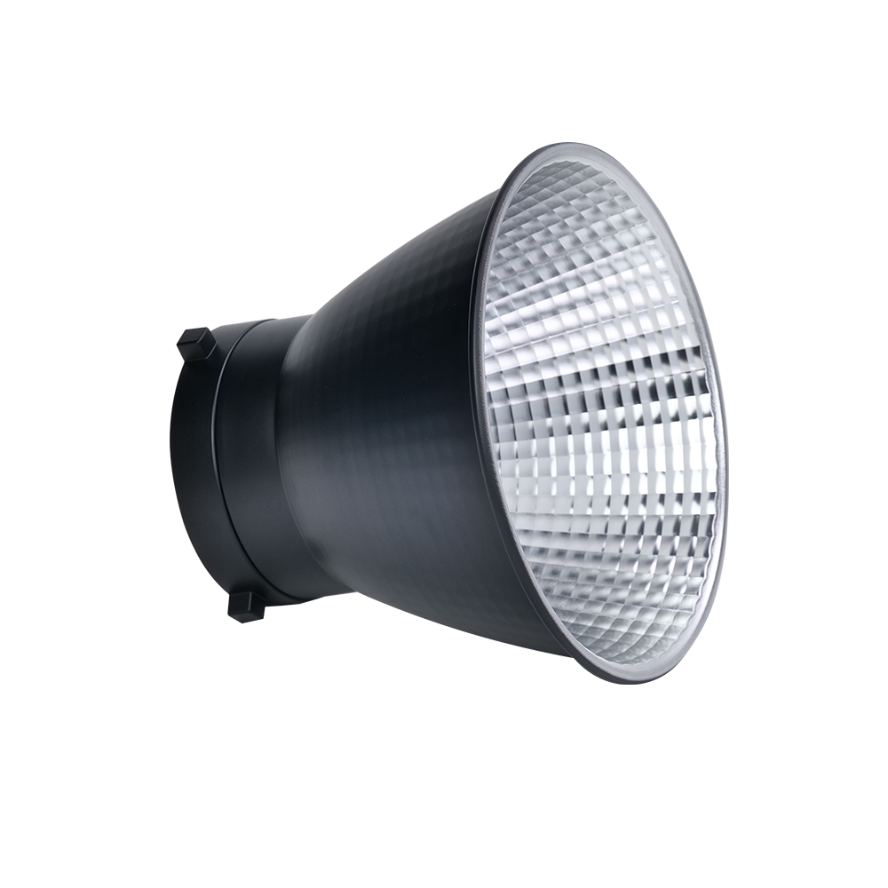 Amaran 100d S LED Light