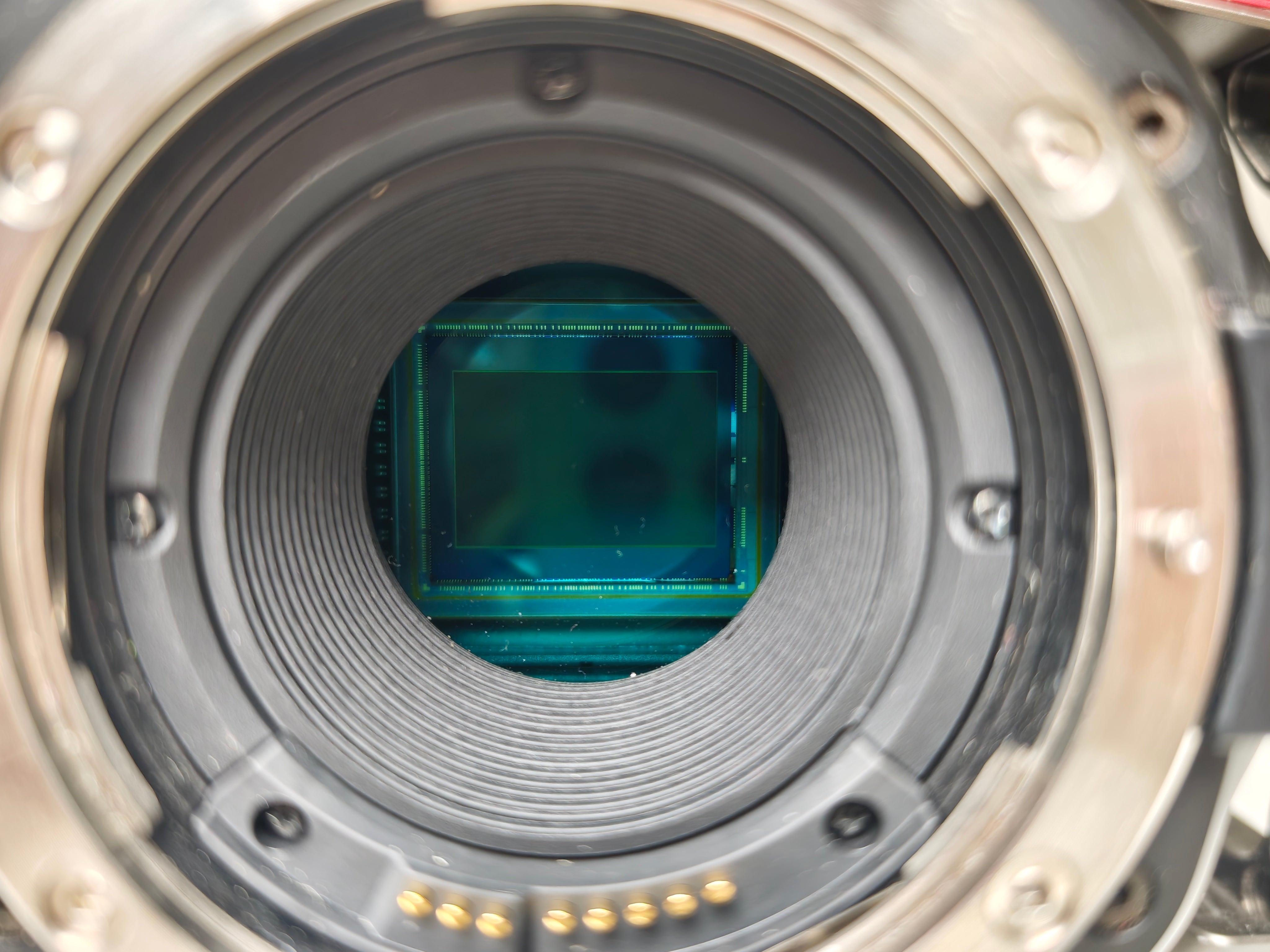 Втора употреба Blackmagic Pocket Cinema Camera 6K EF байонет + клетка
