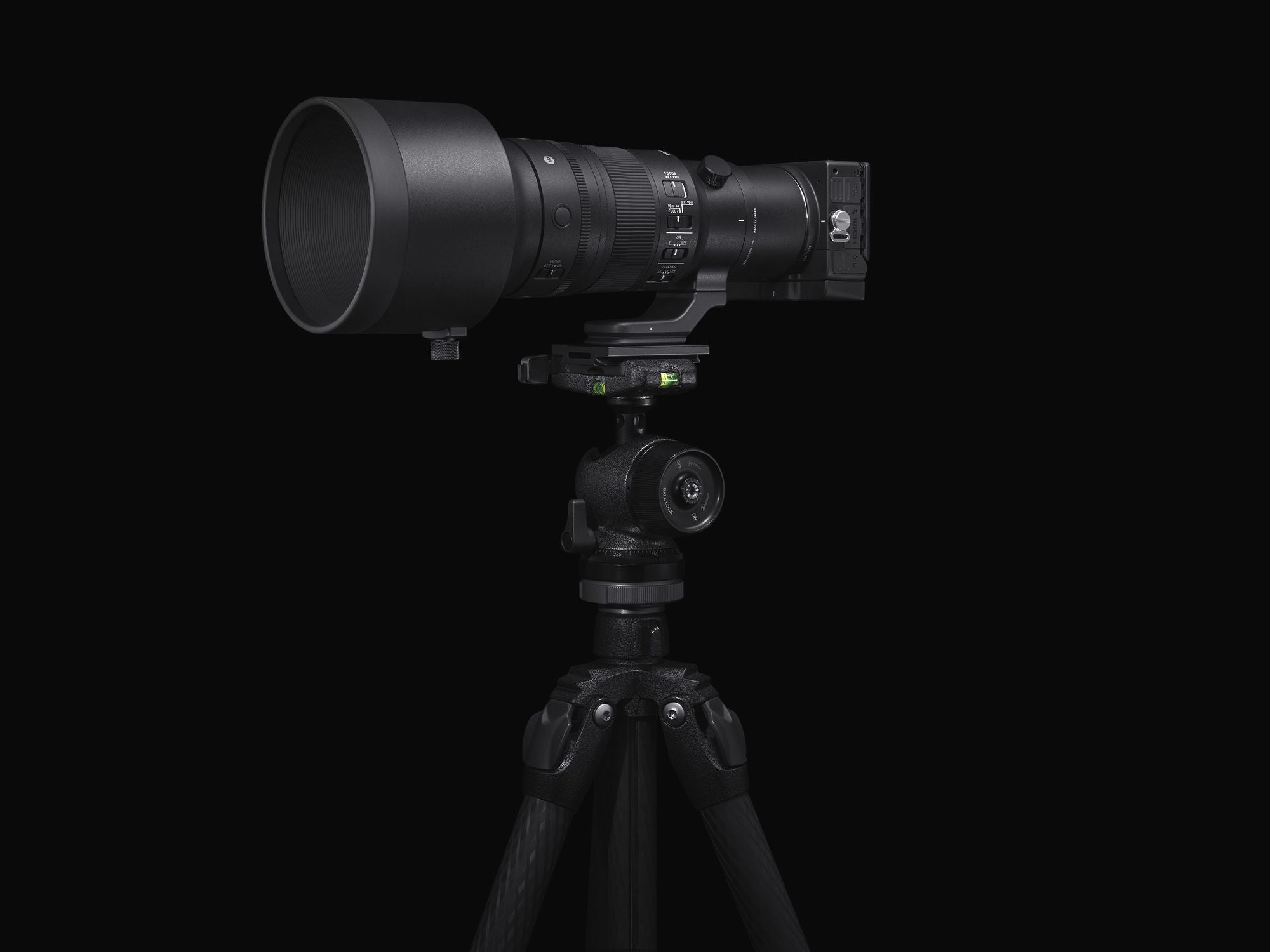 Sigma AF 500mm f5.6 DG DN OS Sports for L-mount