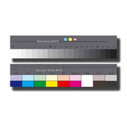Danes Picta Colour and Grey Scale - a big size BST14
