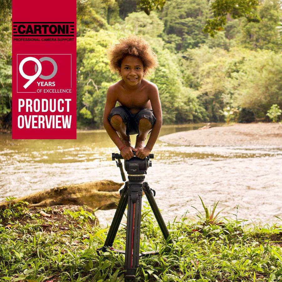 Cartoni Pre-order