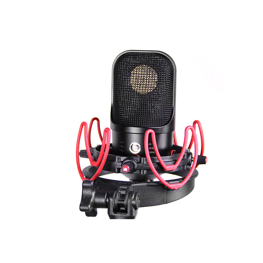 Rycote InVision USM VB-L for microphones weighing 500 grammes or less (will hold up to 750gr) & between 55mm to 68mm in diameter.