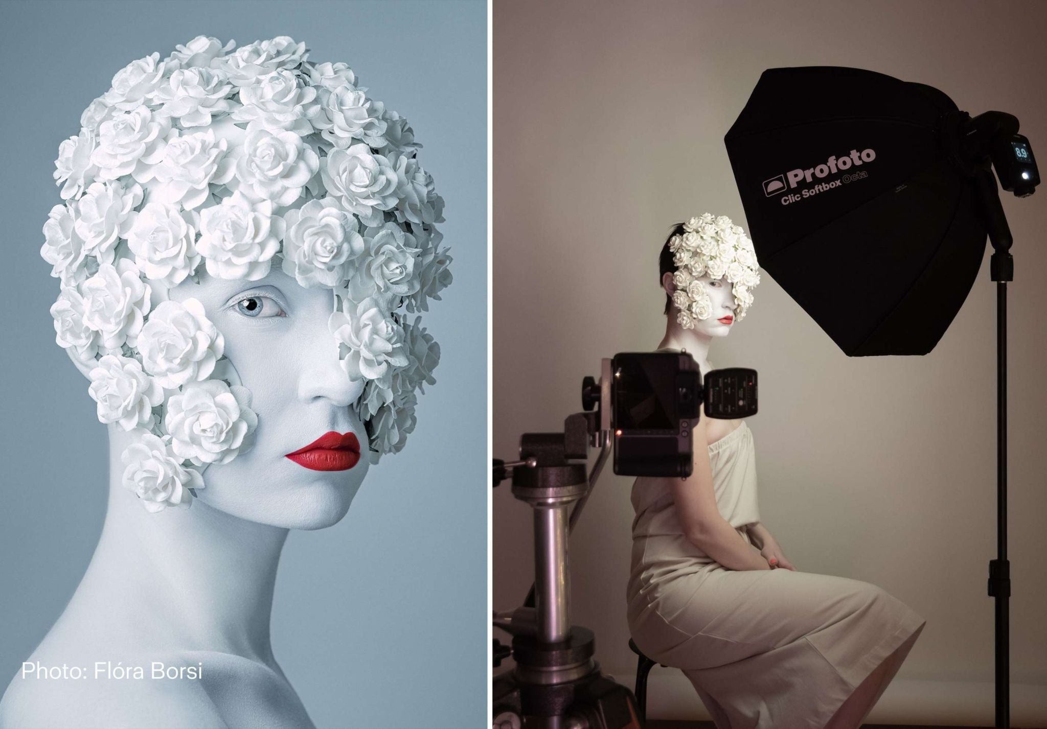 Profoto Clic Softbox 2.7' (80cm) Octa