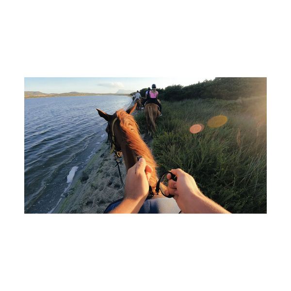 Лента за глава GoPro Head Strap 2.0