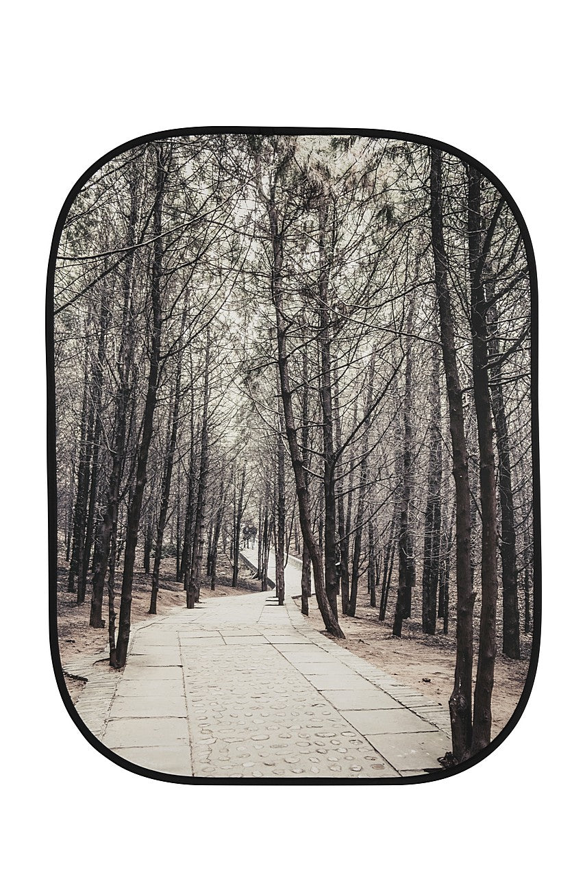 Сгъваем фон Manfrotto Perspective  - 1.5 x 2.1 м Stone Steps/Winter Trees