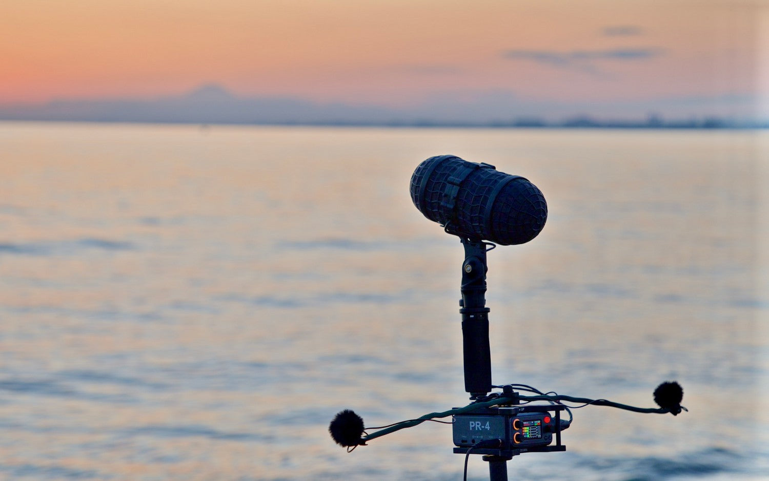 Deity PR-4 Metal Cage with Integrated ORTF Mic Mount