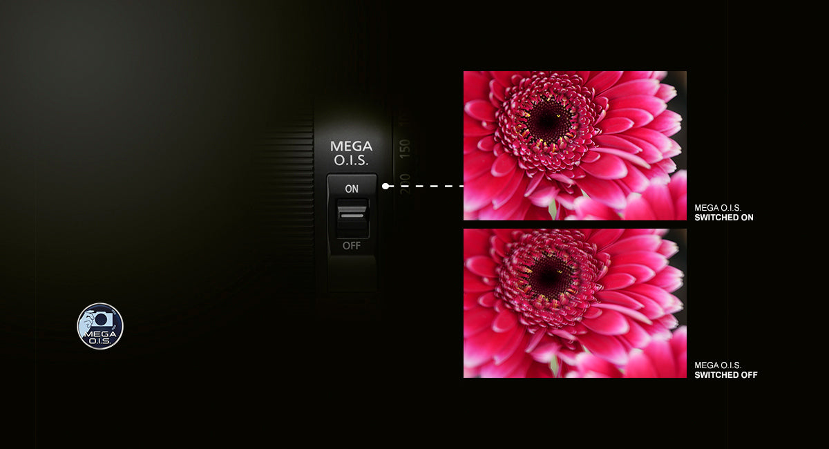 Panasonic LUMIX G Macro Lens 30mm f2.8 ASPH. Micro Four Thirds,MEGA Optical I.S