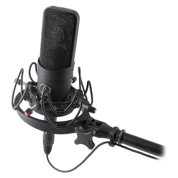 Rycote InVision USM for microphones weighing up to 750 grammes & between 18mm and 55mm in diameter.