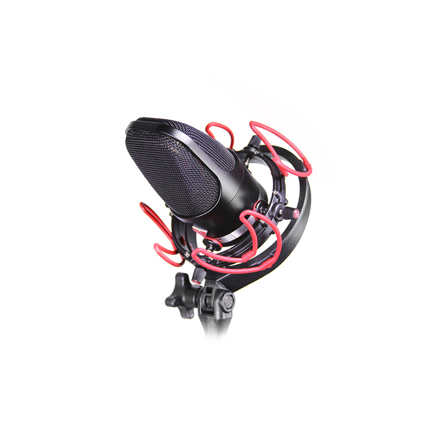 Rycote InVision USM VB-L for microphones weighing 500 grammes or less (will hold up to 750gr) & between 55mm to 68mm in diameter.