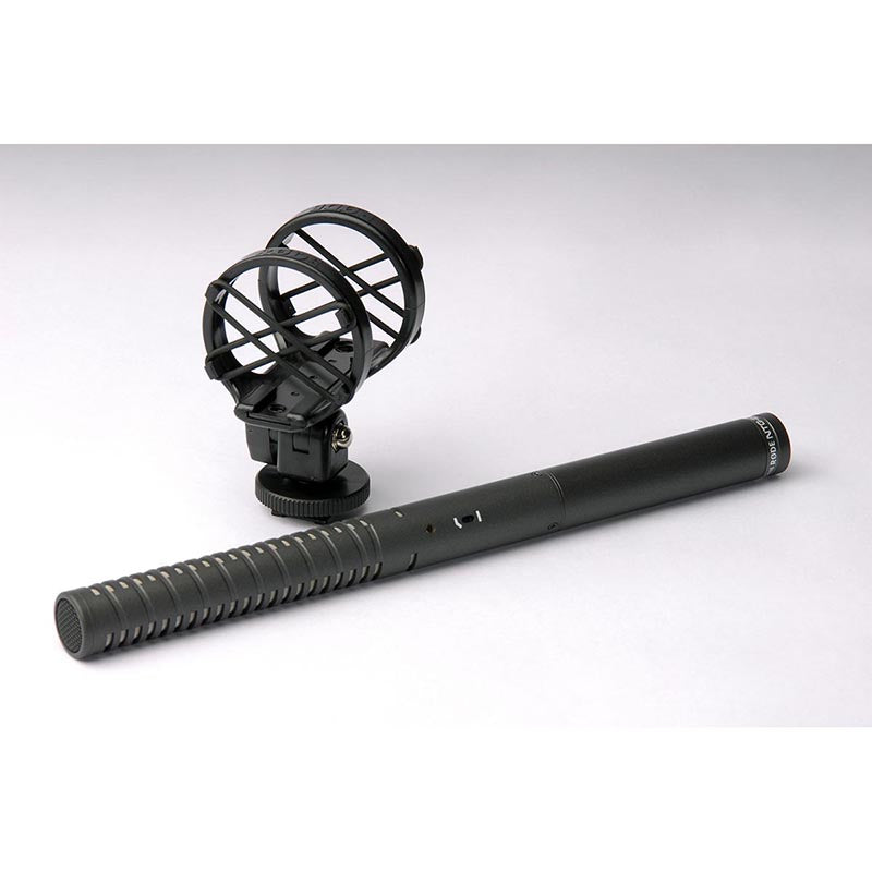Microphone RODE NTG2
