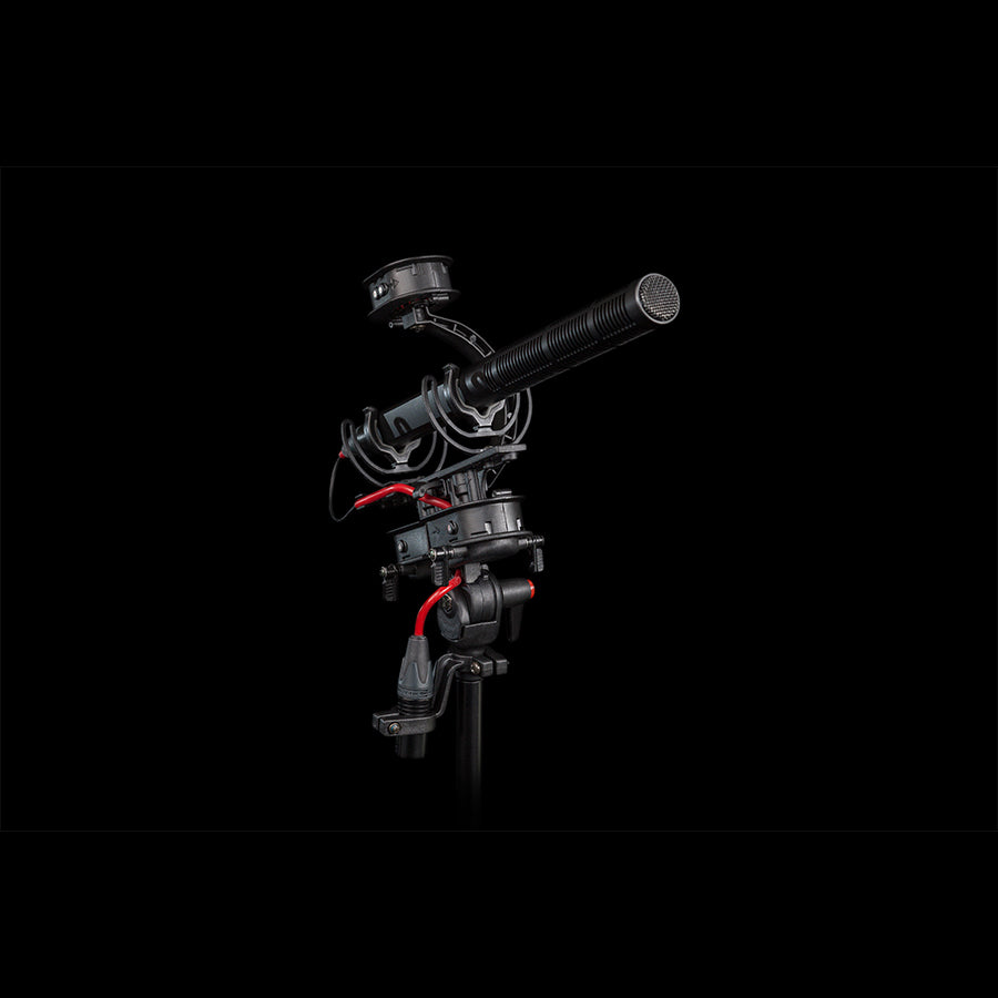Rycote Cyclone Windshield Kit, Large