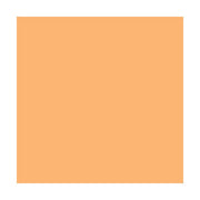 ROSCO E-Colour+ #204 - Full C.T.Orange per cm