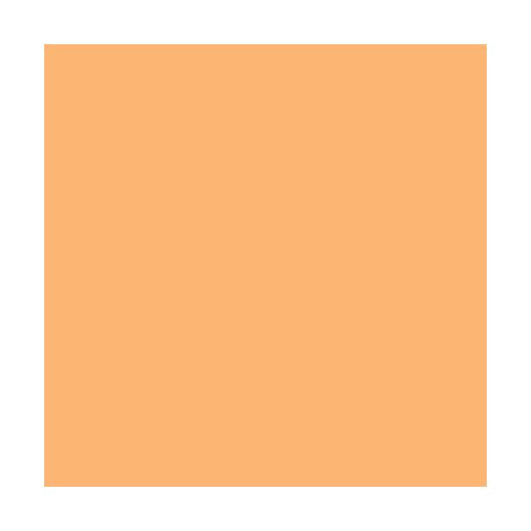 ROSCO E-Colour+ #204 - Full C.T.Orange per cm