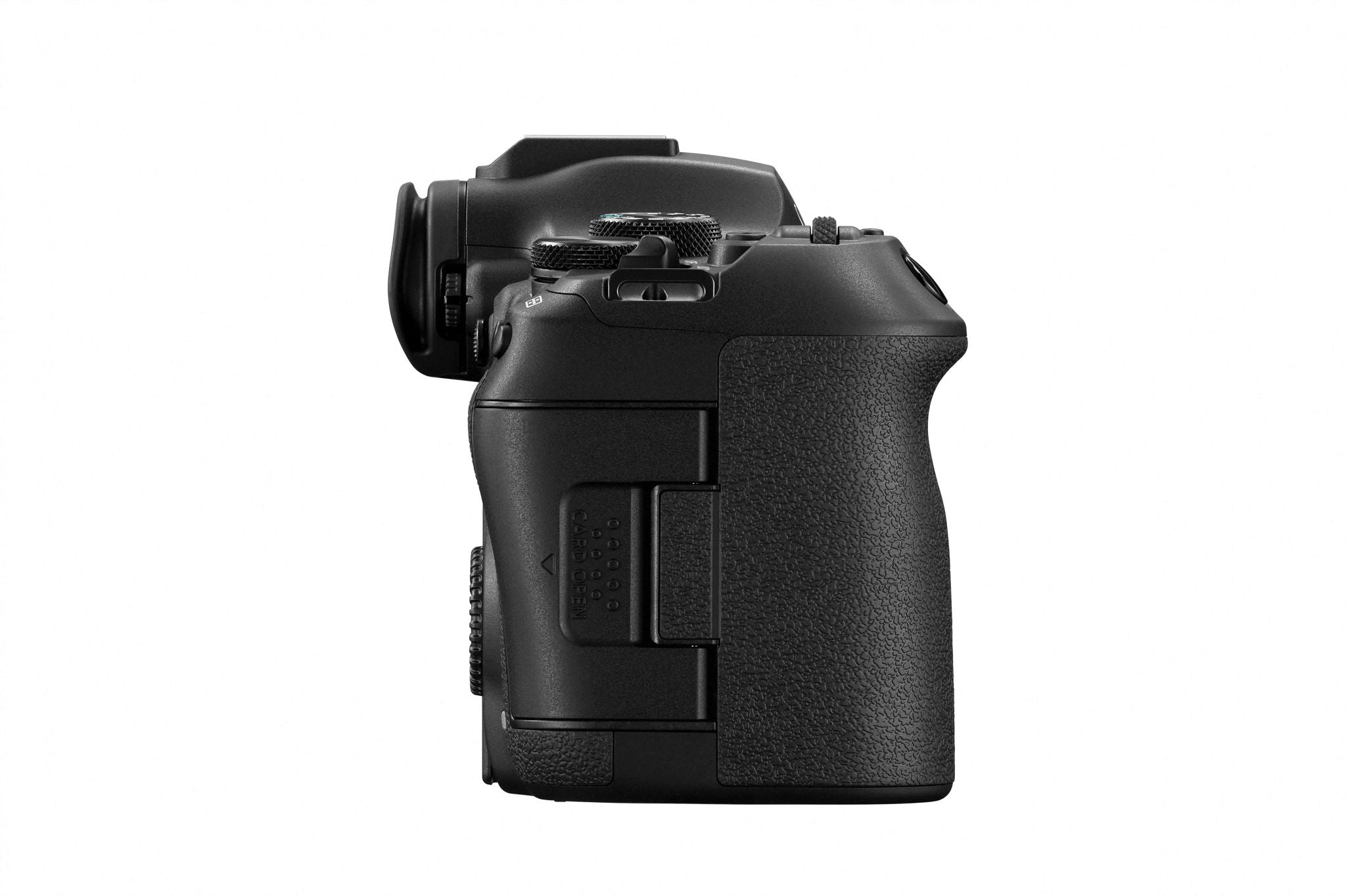 Canon EOS R6 Mark III + RF 24-105mm f4 L USM + RF 50mm F1.8