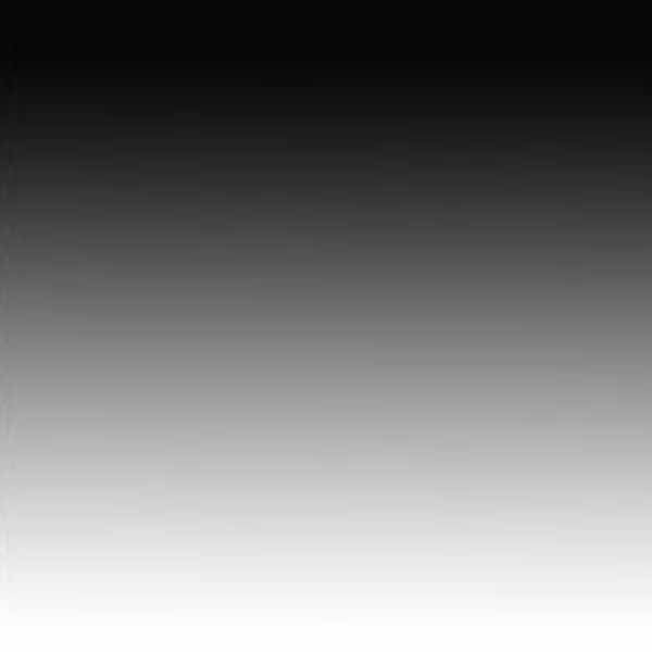 PVC фон Colorama/Lastolite 1 x 1.7 м - Colorgrad White/Black
