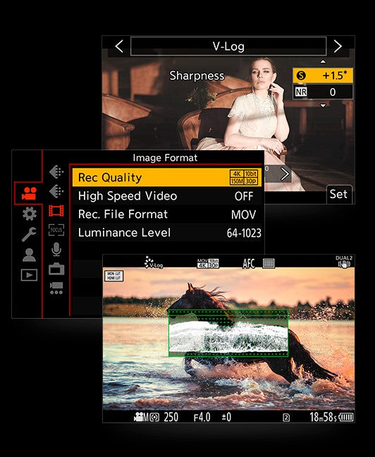 Panasonic LUMIX S1 V-Log L Function Firmware Upgrade Kit DMW-SFU2