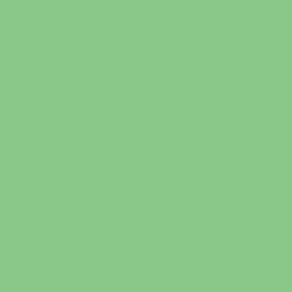 Colorama paper background 2.72 x 11 m - Summer Green
