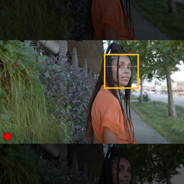 Panasonic Lumix S 24mm f1.8 Lens