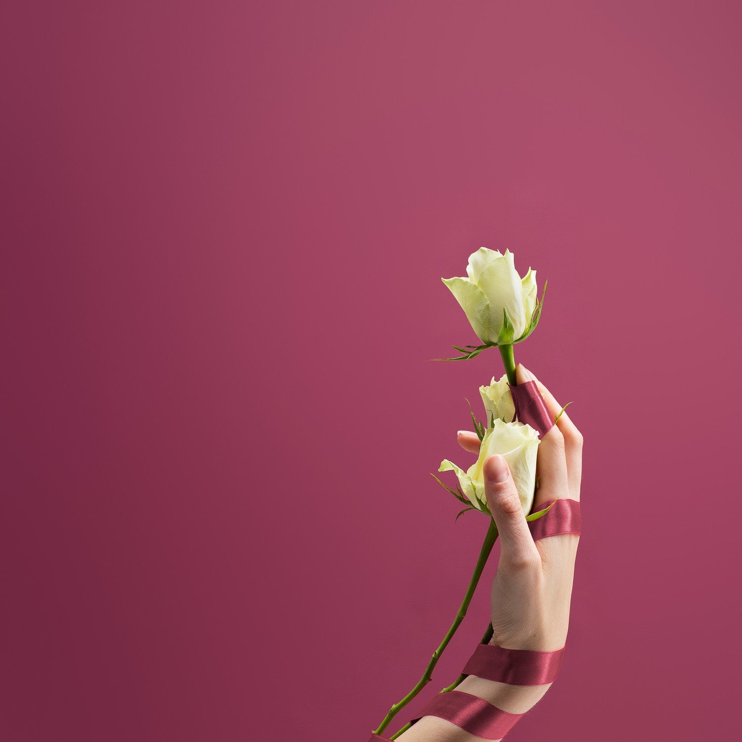 Colorama paper background 2.72 x 11 m - Damson