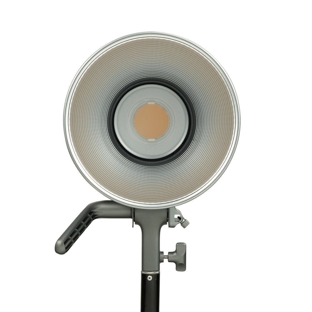 Amaran 300c RGBWW Full-Color LED Light (Grey)