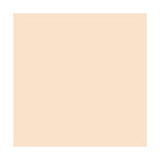 ROSCO E-Colour+ #206 - Quarter C.T.Orange per cm