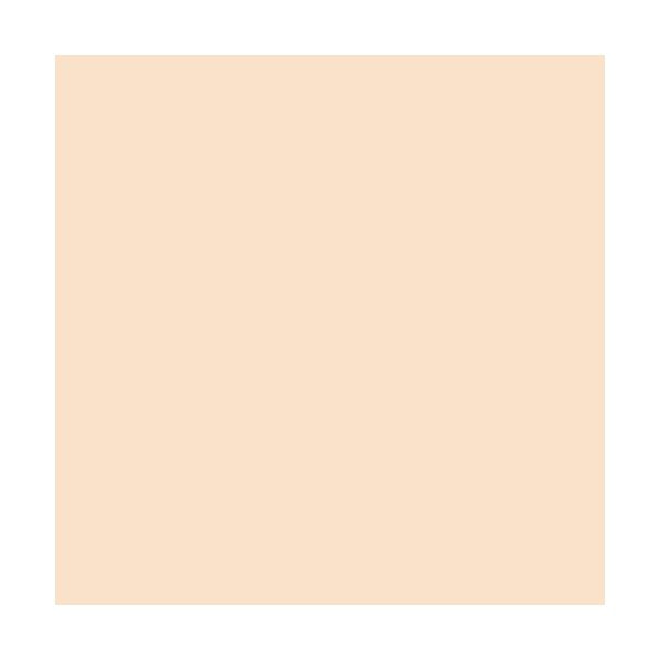 ROSCO E-Colour+ #206 - Quarter C.T.Orange per cm