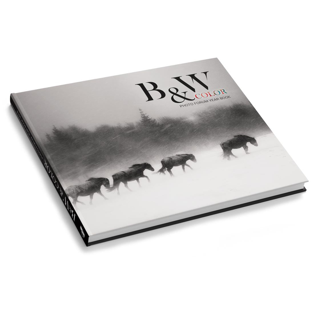 Photo Forum Black&White & Color album