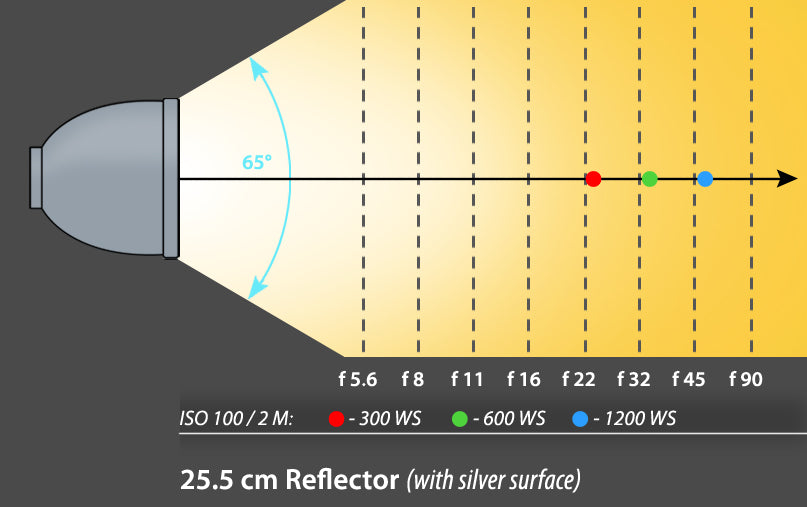 25.5 cm Reflector / 65° with grid