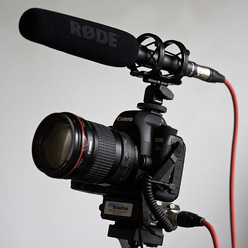 Microphone RODE NTG2