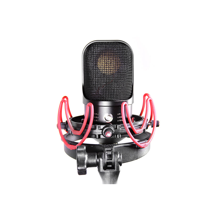 Rycote InVision USM VB-L for microphones weighing 500 grammes or less (will hold up to 750gr) & between 55mm to 68mm in diameter.
