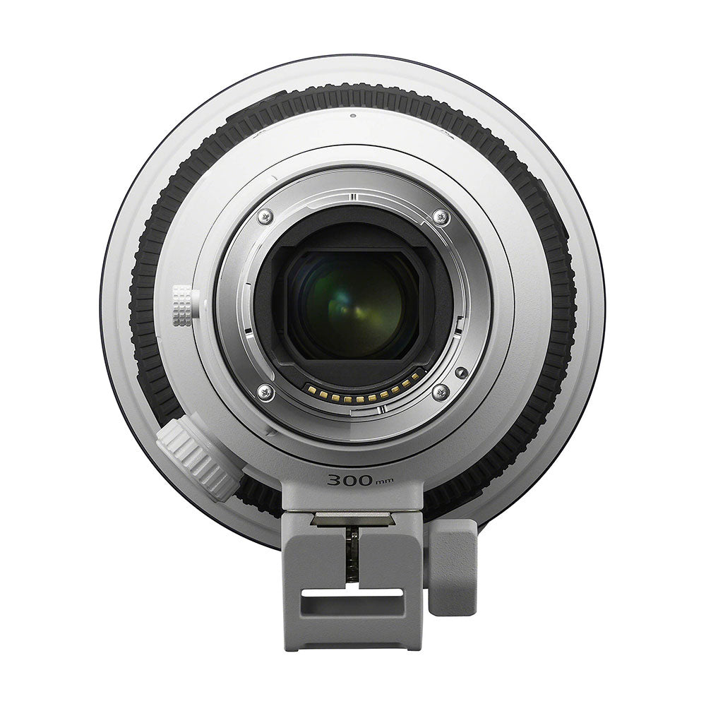 Sony FE FE 300mm F2.8 GM OSS