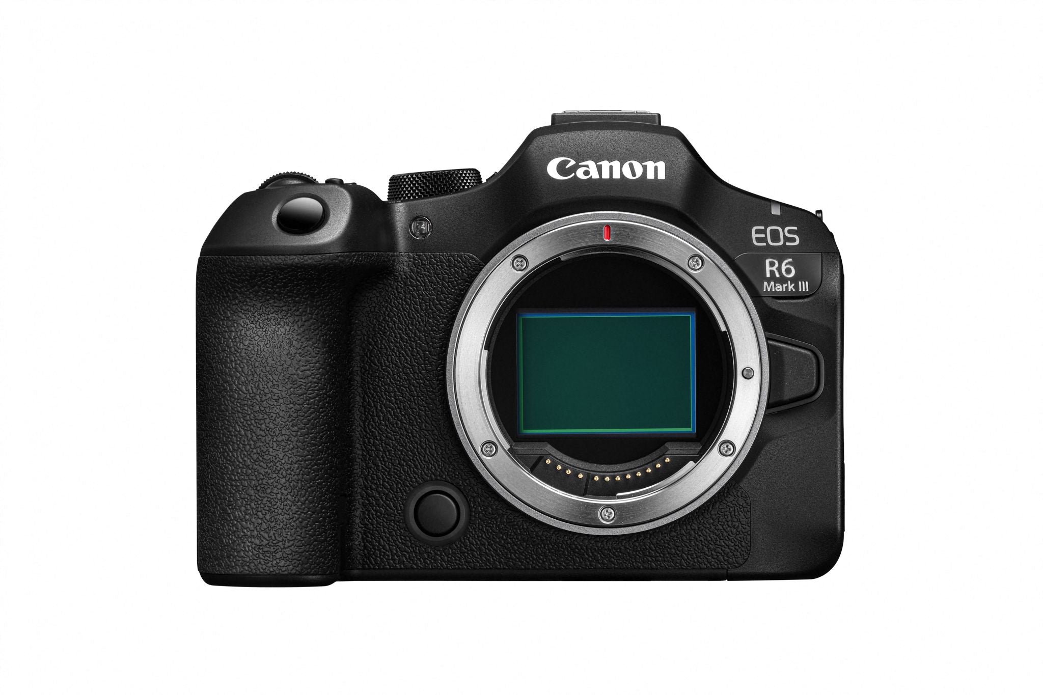 Canon EOS R6 Mark III Body + RF 50mm F1.8